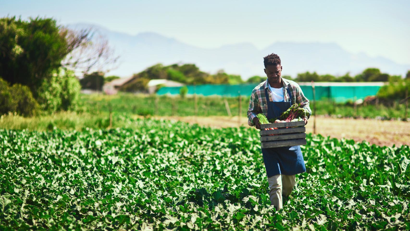 El Salvavidas De Un Planeta Que Se Hunde O C Mo La Agricultura Y La