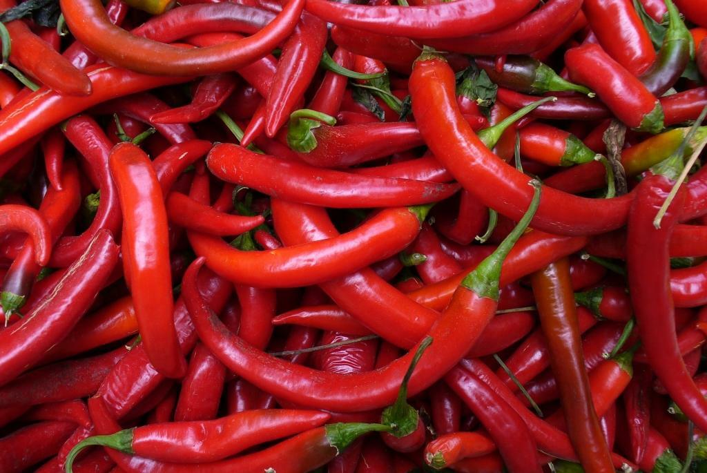 Picante 00