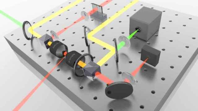 Limited Quantum Imaging within a Living Cell