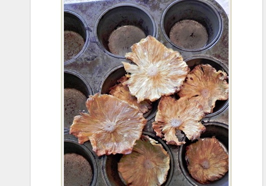 fail-culinario-10M