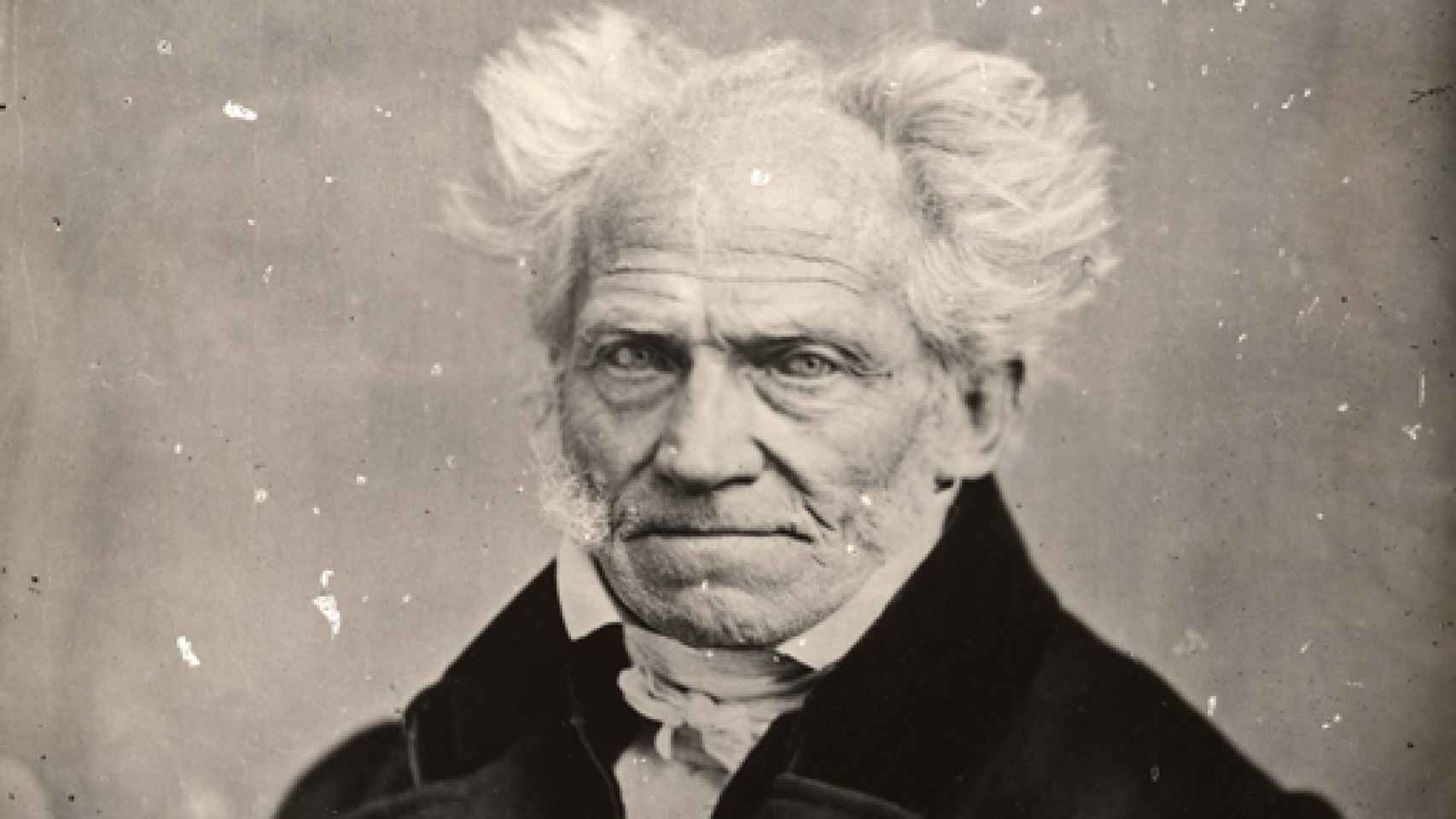Image: Schopenhauer. Una biografía