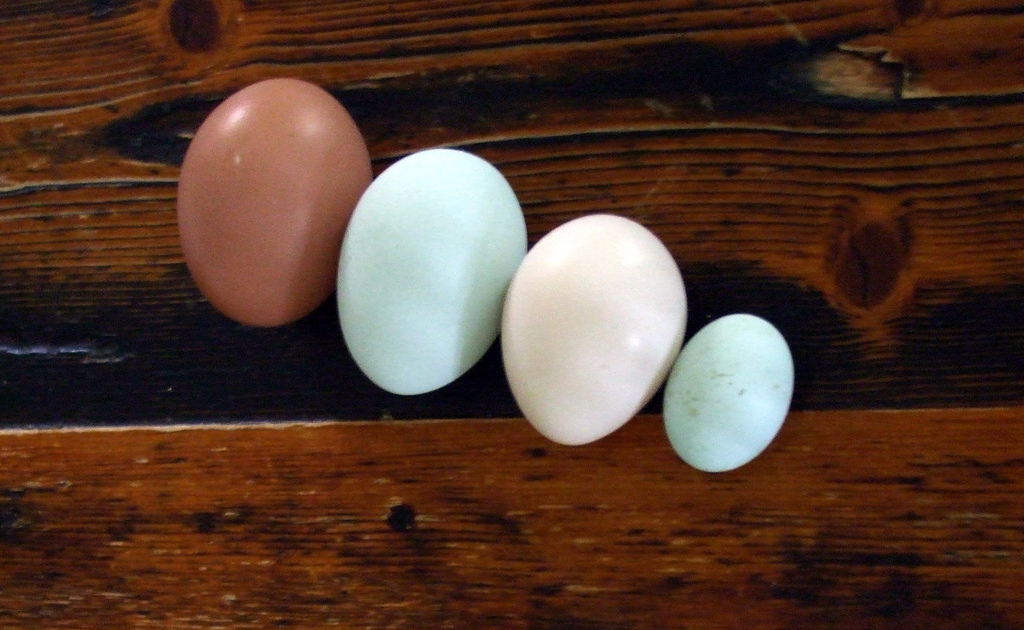 numeracion huevos 3