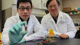 Percival Zhang bateria biodegradable