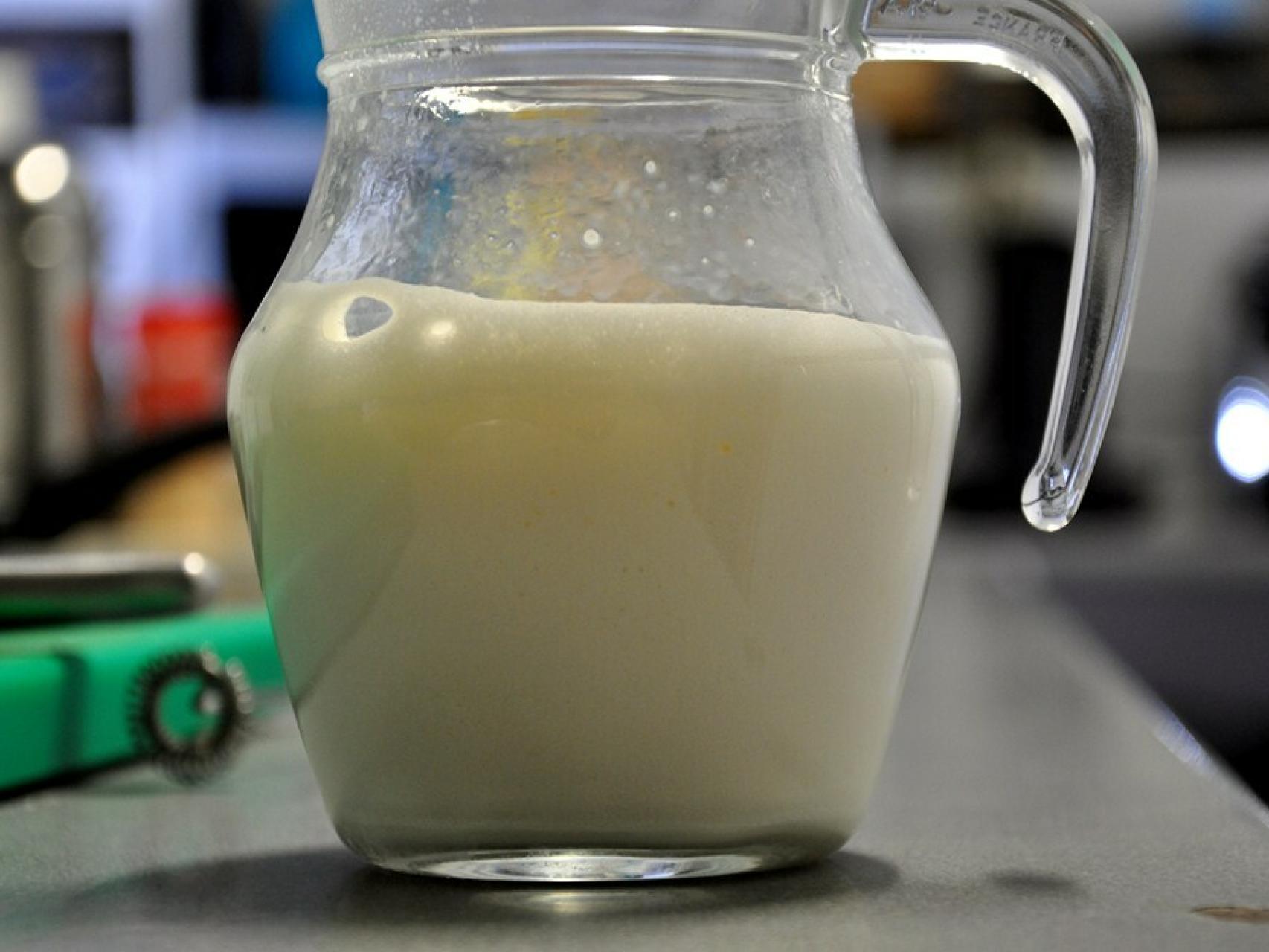 Cómo hacer espuma con leche con un Aerolatte Cómo hacer espuma con leche con un Aerolatte