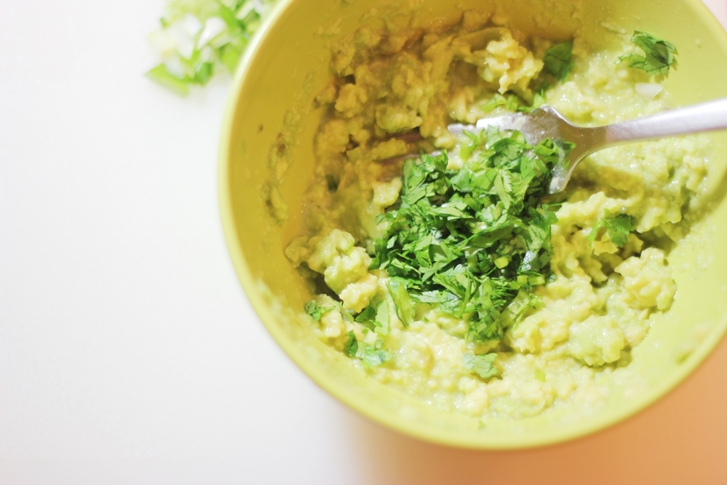 Guacamole_17
