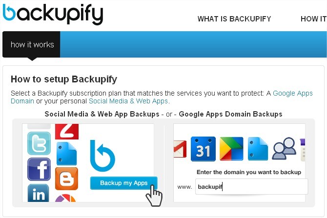 backupify_000