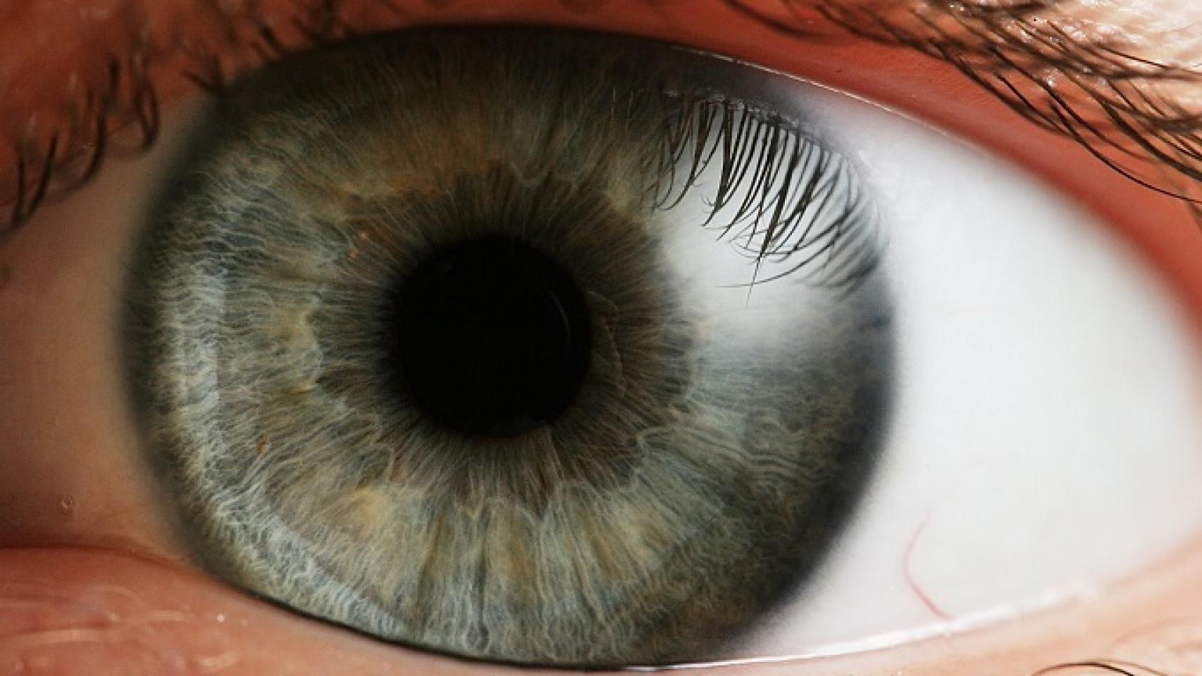 Desbloqueo de tu teléfono con el ojo, la tecnología de EyeVerify