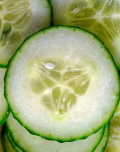 pepino