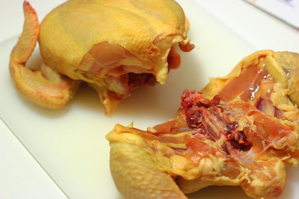 pollo-entero-09