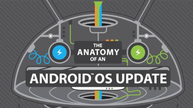 Las actualizaciones de Android explicadas en una infografía de HTC