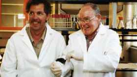 Image: Coleman y Friedman, descubridores de la hormona del apetito, premios Fundación BBVA en Biomedicina