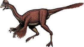 dinosaurio-gallina