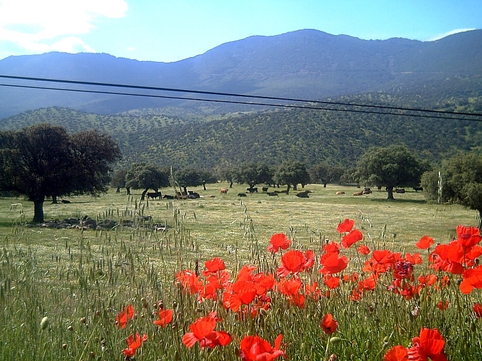 Valle Alcudia en La Vera por Javier Martín