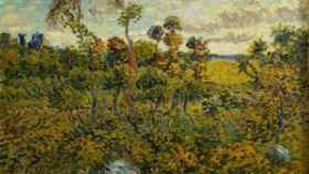 Image: El Museo Van Gogh descubre una nueva pintura del artista holandés