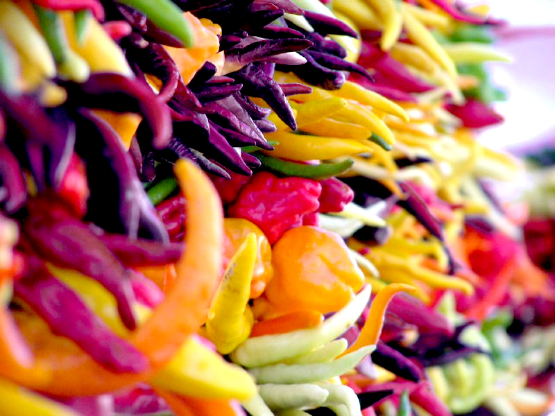 chiles_cc_toofarnorth
