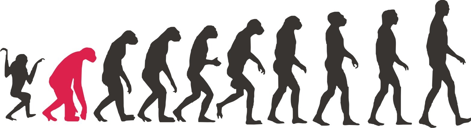 evolucion-humana3