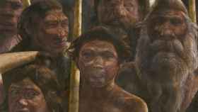 hominidos-atapuerca