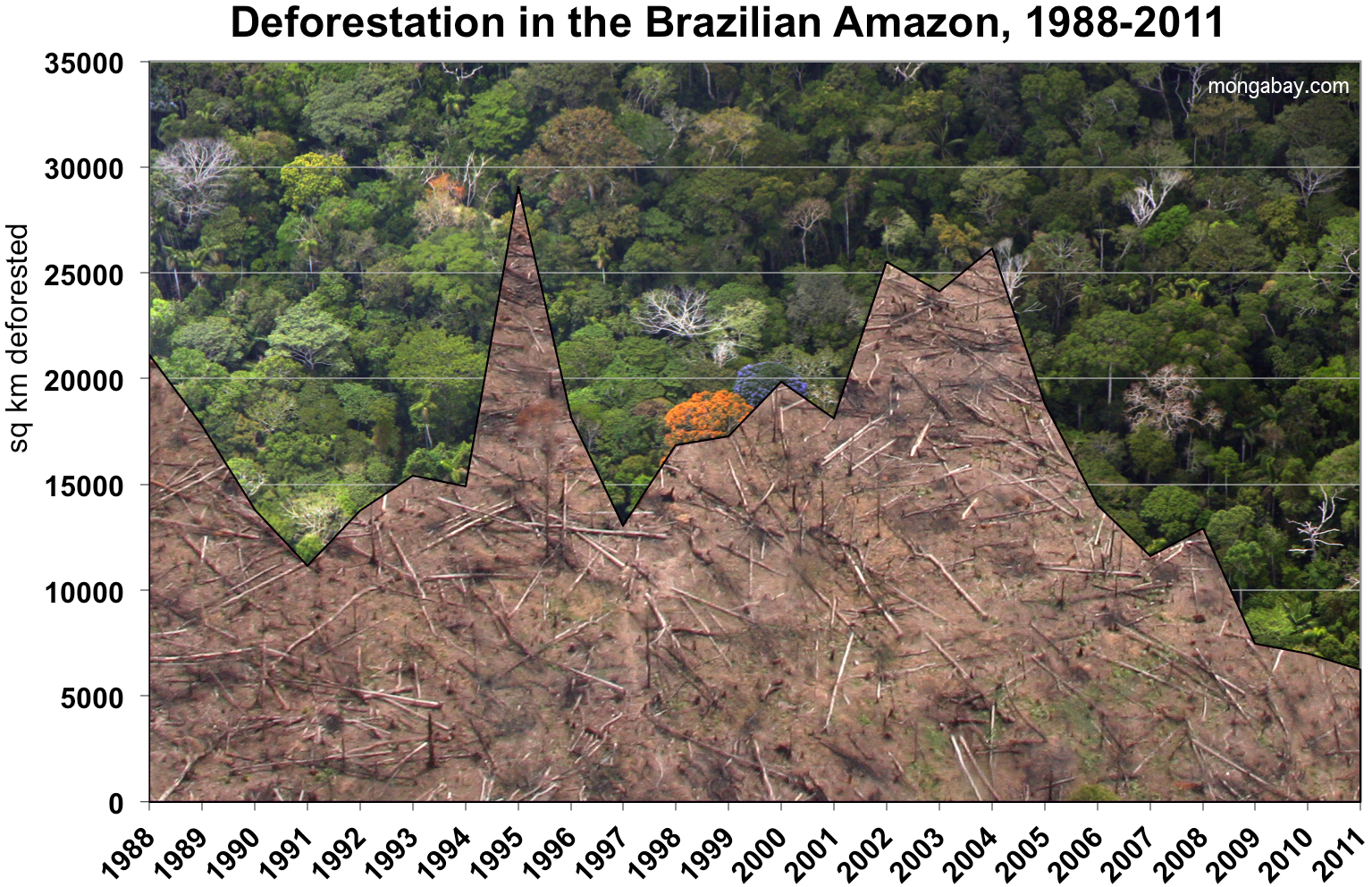 deforestacion brasil amazonas