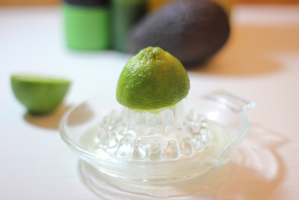 Guacamole_10