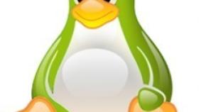 Android y Linux, la delgada linea verde