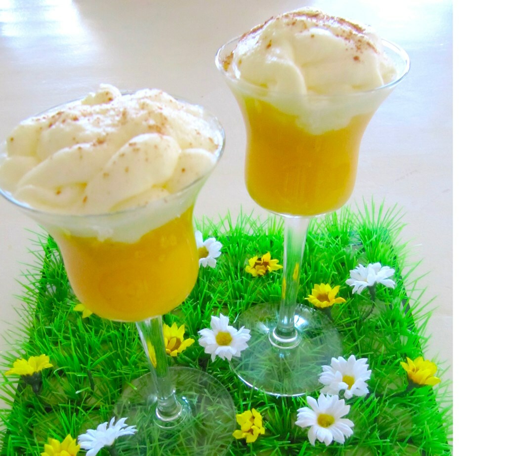 09-Holanda-Advocaat