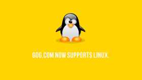 gog-linux-port