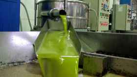 aceite-de-oliva-procesado