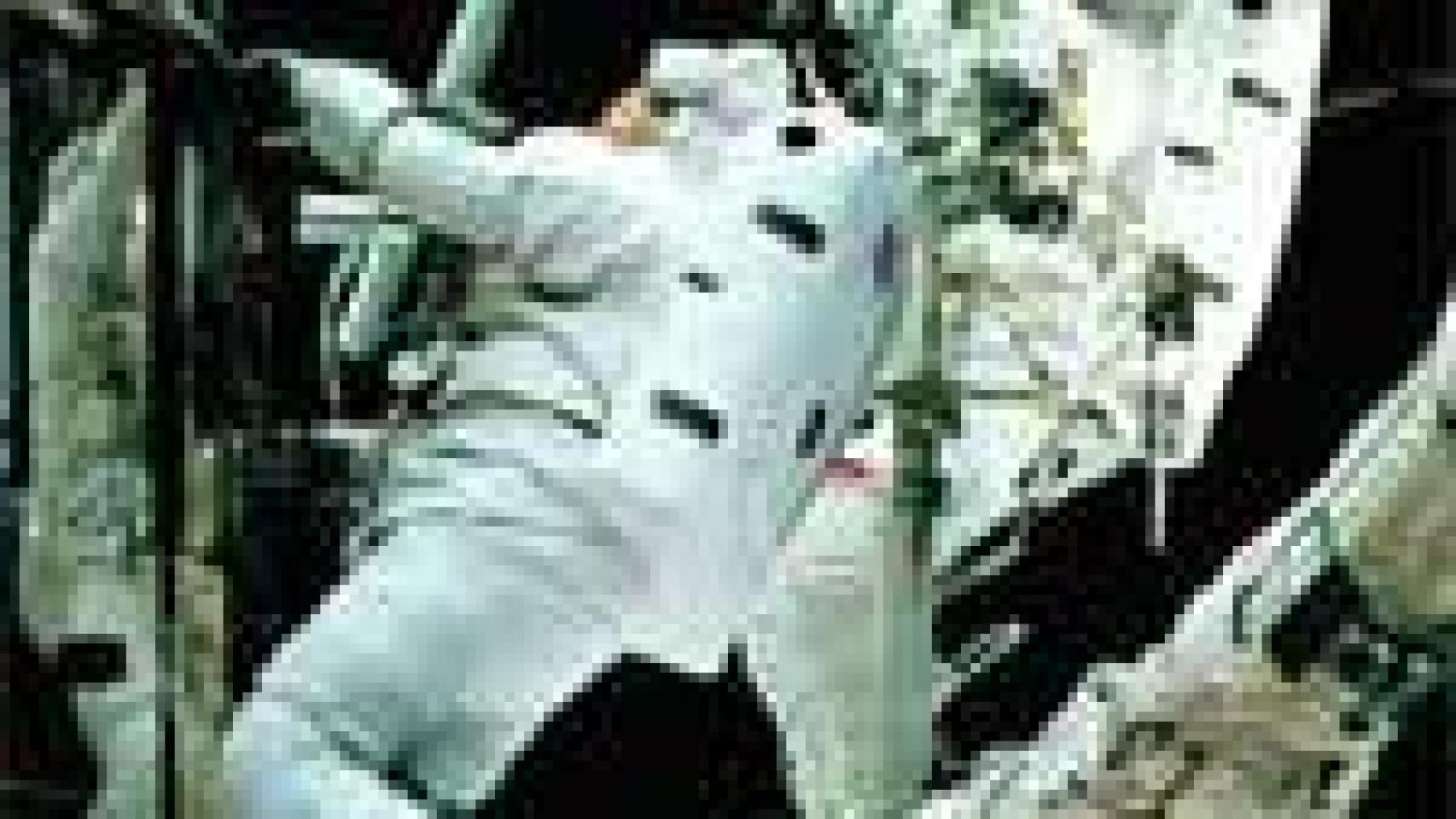 Image: 2001: de Gagarin al turista espacial