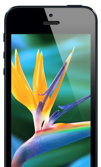 iPhone5-Front