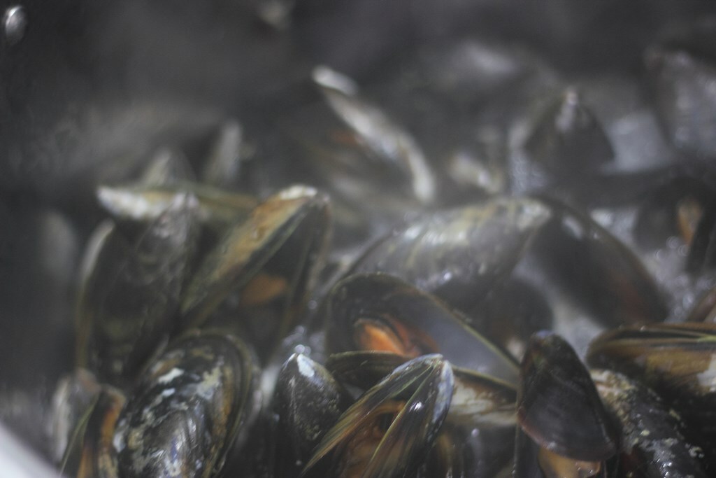 Mejillones abiertos