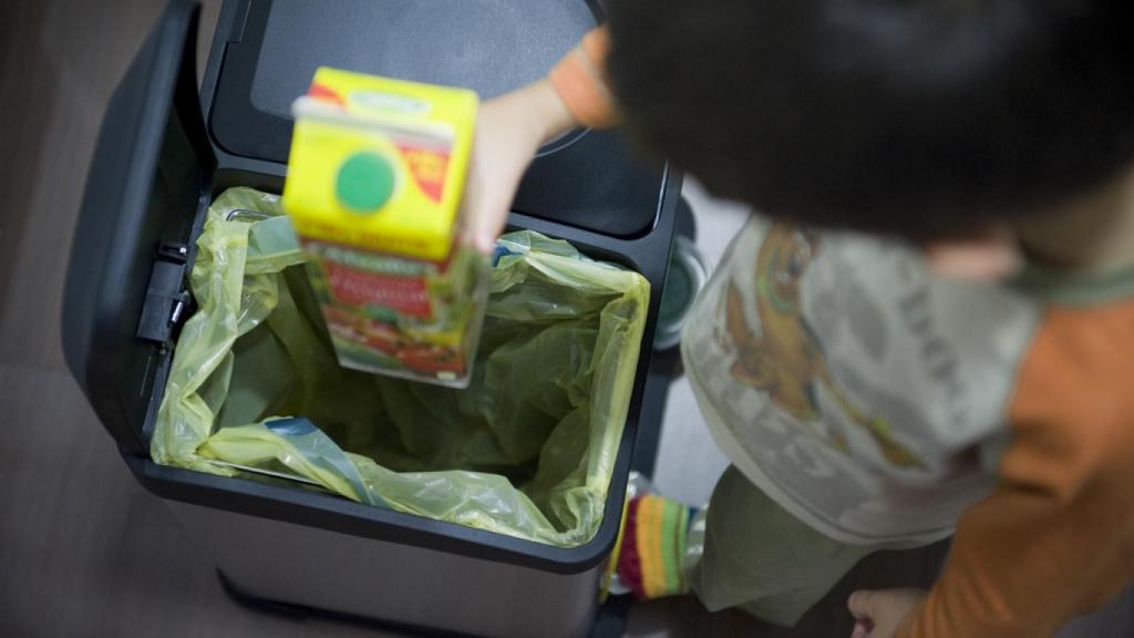 Cómo Reciclar La Basura Correctamente