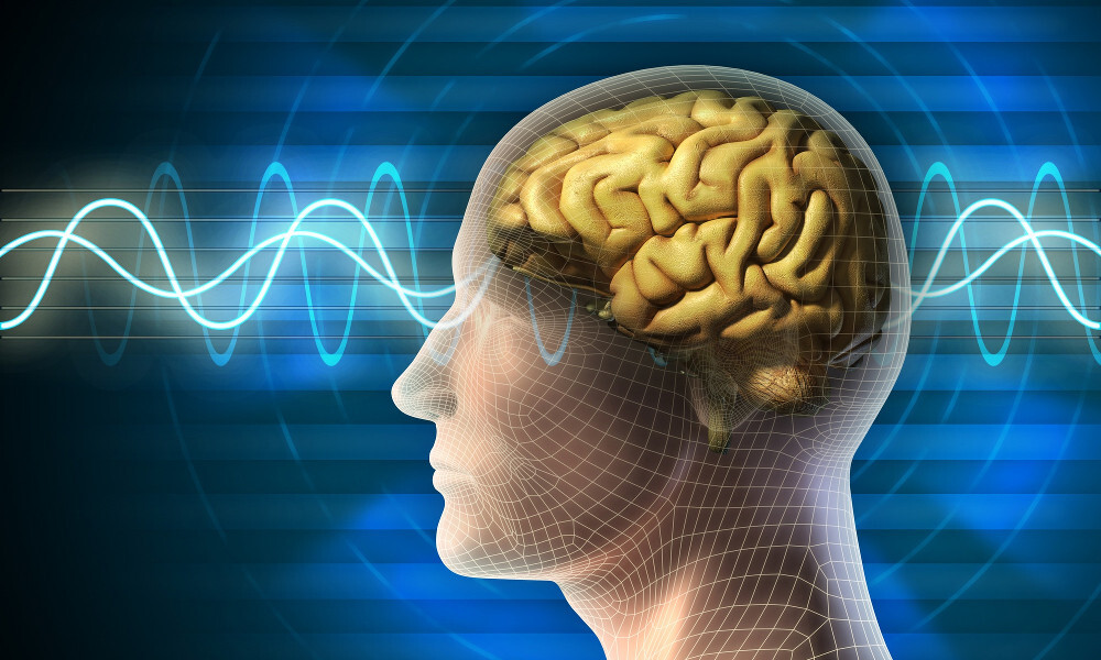 cerebro ondas