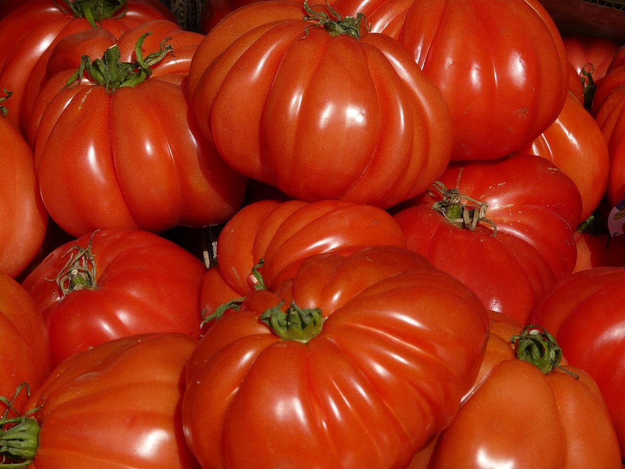 tomate-corazon-buey