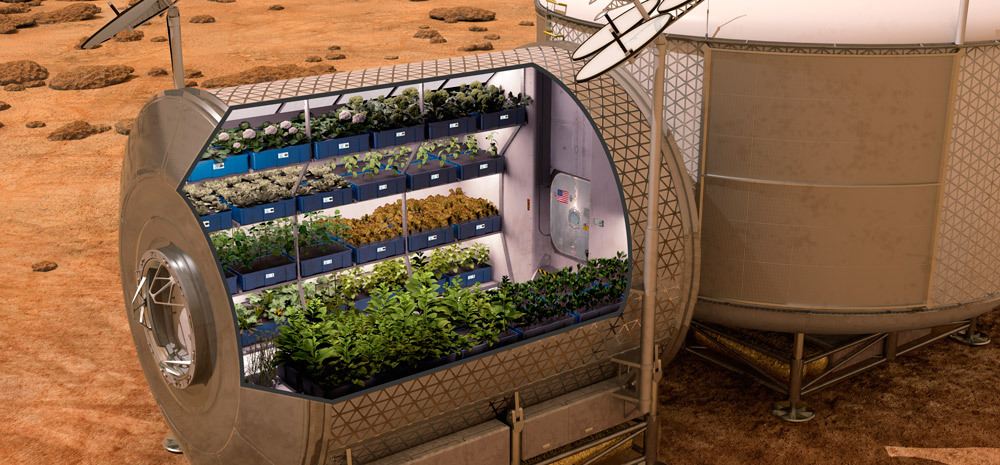 espacio-plantacion