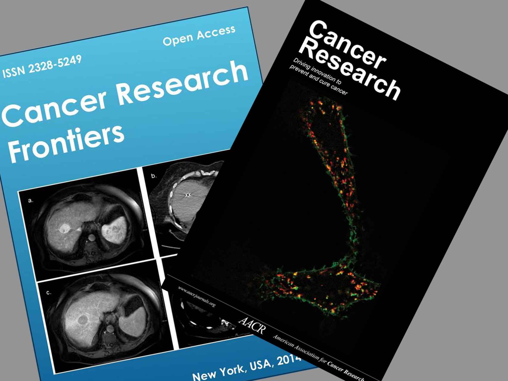 Cancer Research Frontiers y Cancer Research