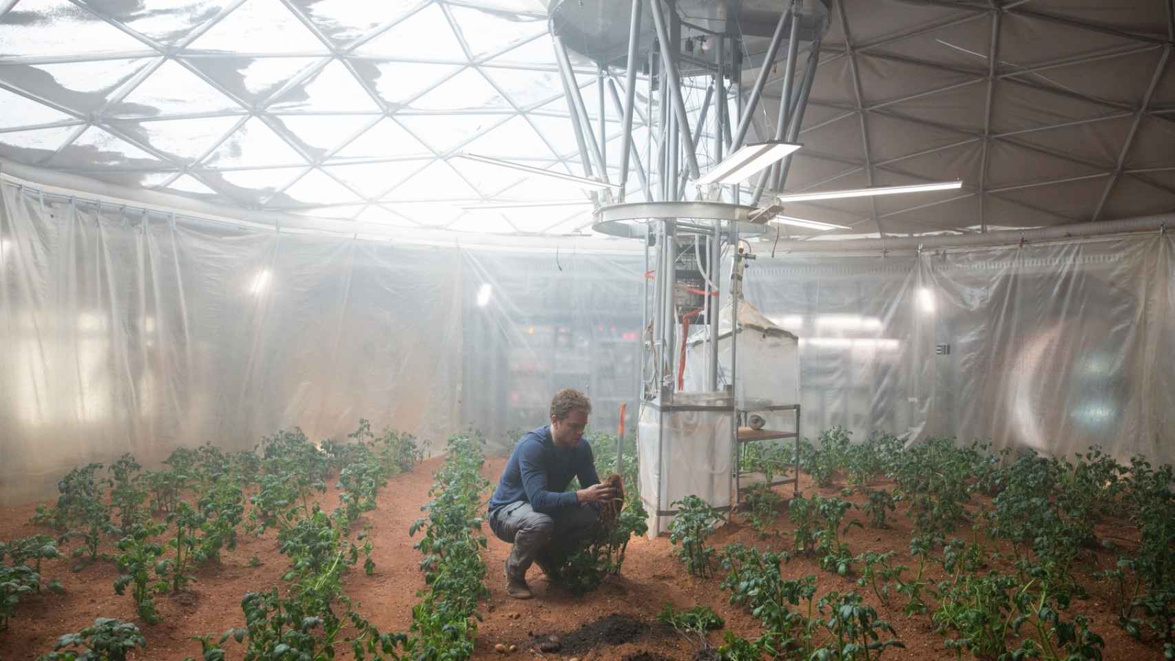 Matt Damon, cultivando patatas en Marte