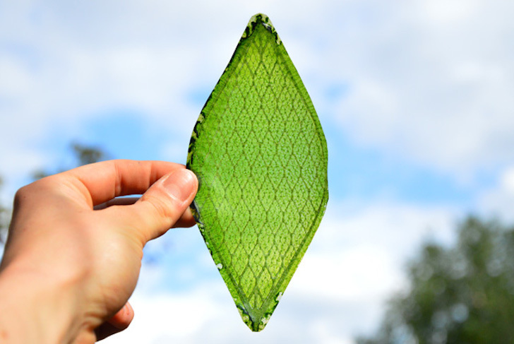 Hoja artificial
