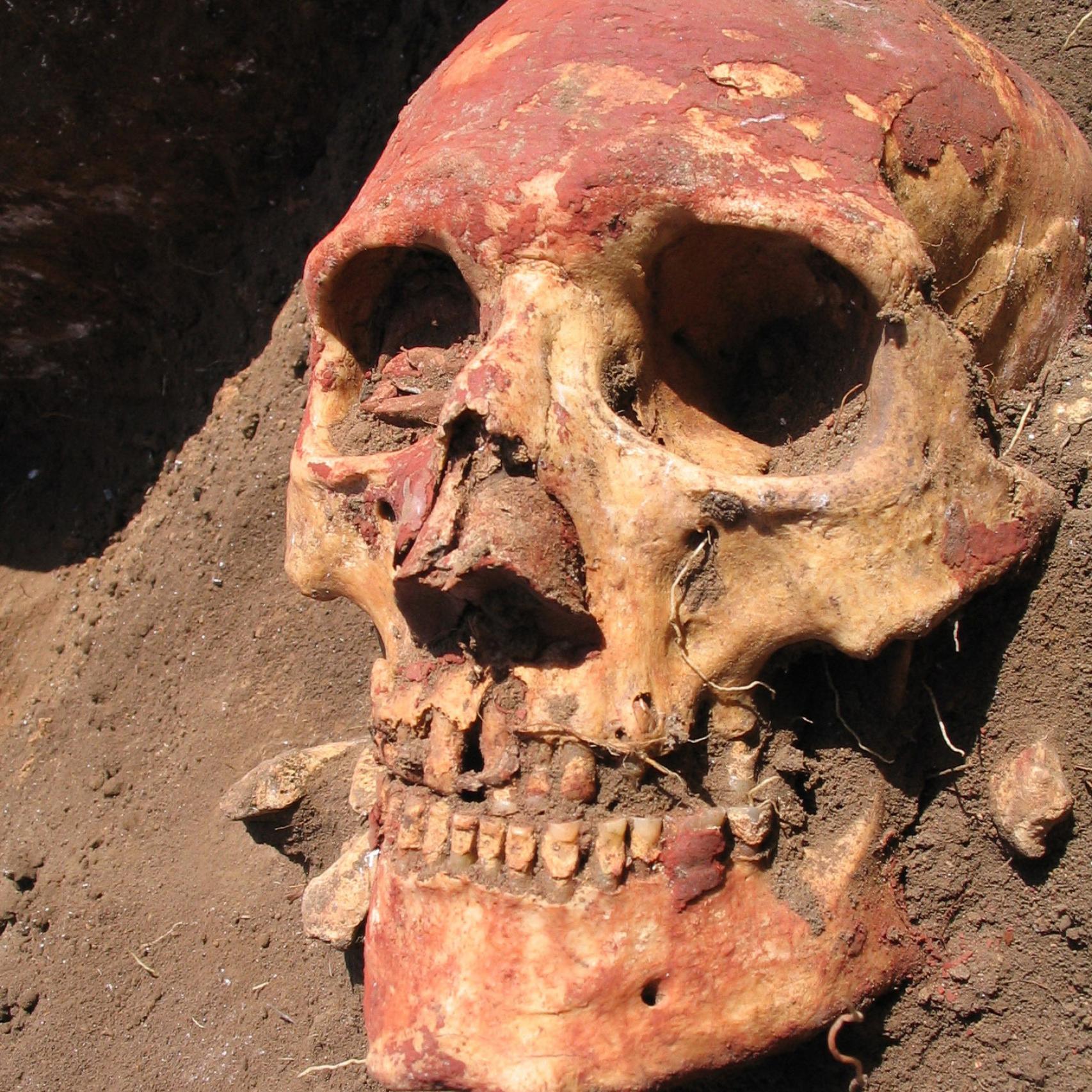 Calavera