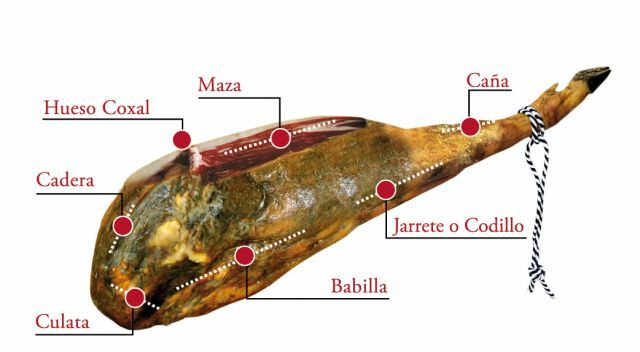 jamon-01