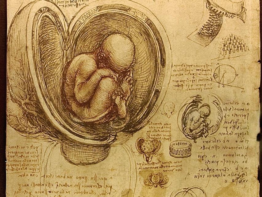 Cada vez hay más dudas sobre la licitud de la manipulación genética en humanos