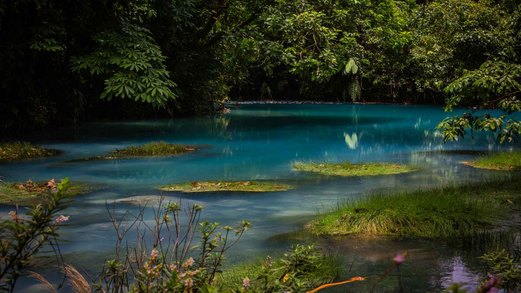 Голубая река. Река Селесте Коста-Рика. Коста Рика голубая река. Коста Рика Селеста. Река Рио Коста Рика.