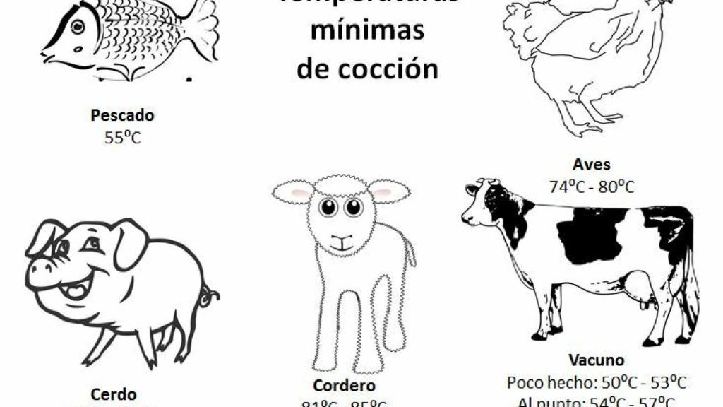 Temperaturas seguras de cocción de los alimentos