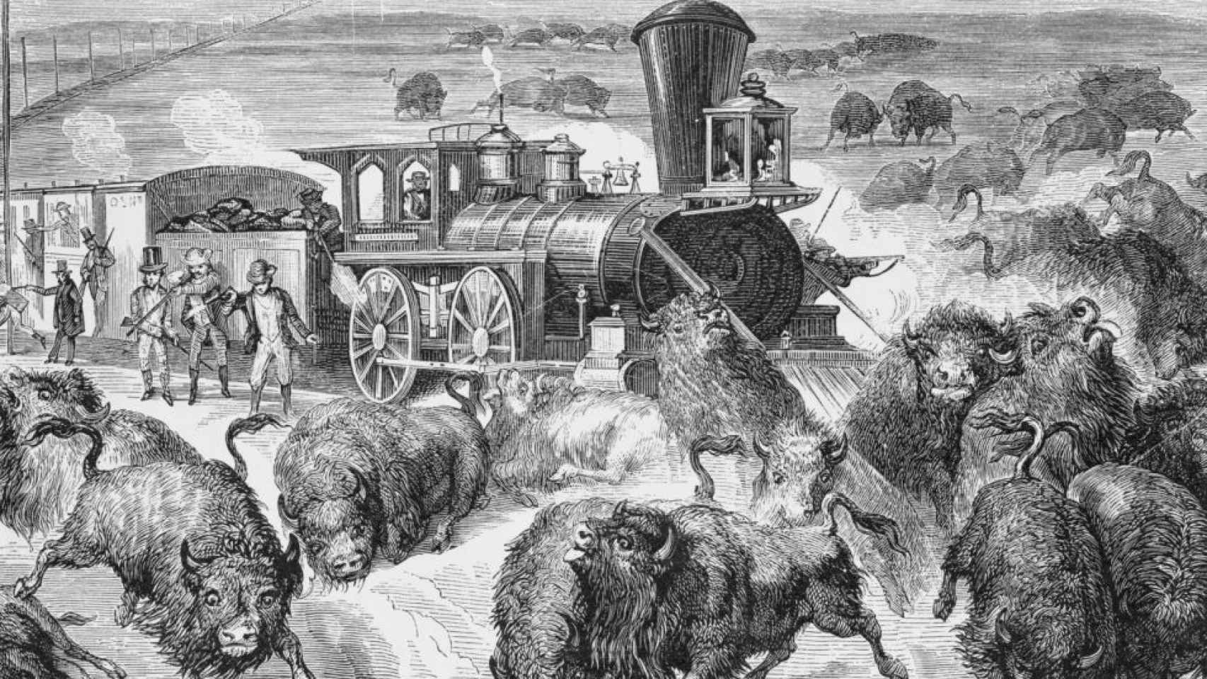 La matanza de los búfalos a lo largo del ferrocarril de la Kansas Pacific.