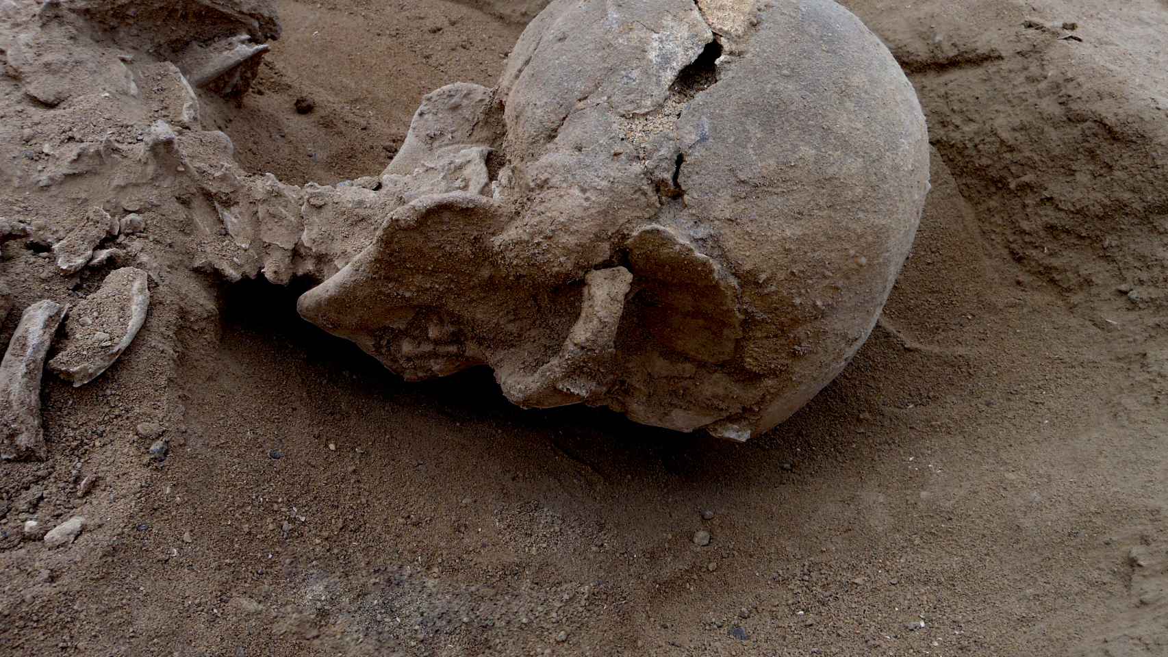 Detalle del cráneo fracturado de uno de los esqueletos hallados en Nataruk.