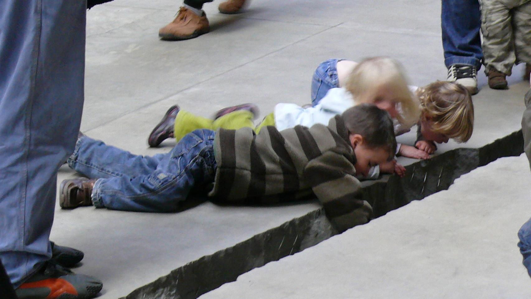 Shibboleth, de Doris Salcedo, abierta en 2007.