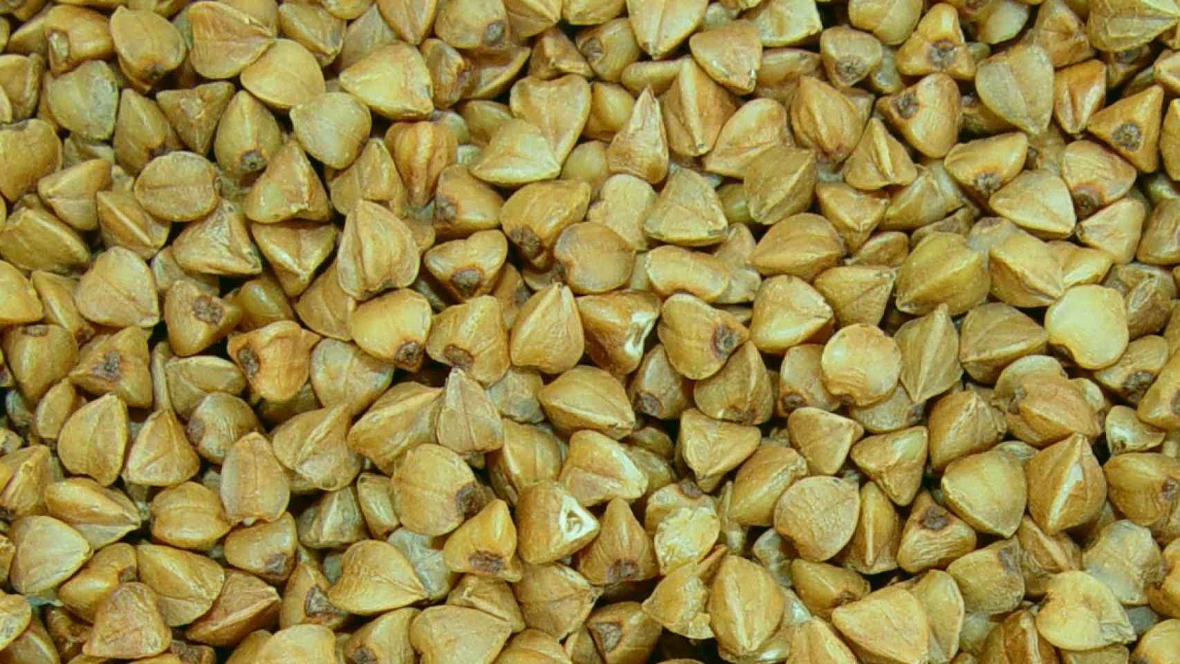 Cascara de trigo sarraceno