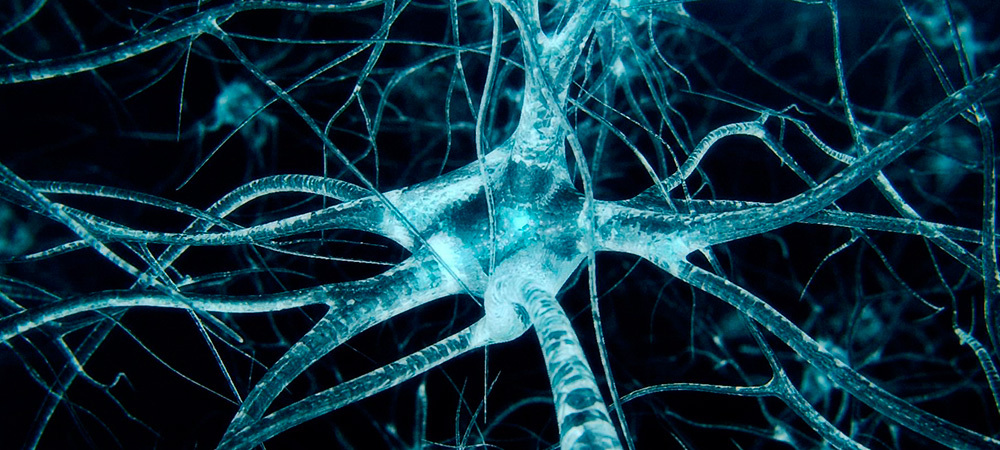 grafeno-neuronas