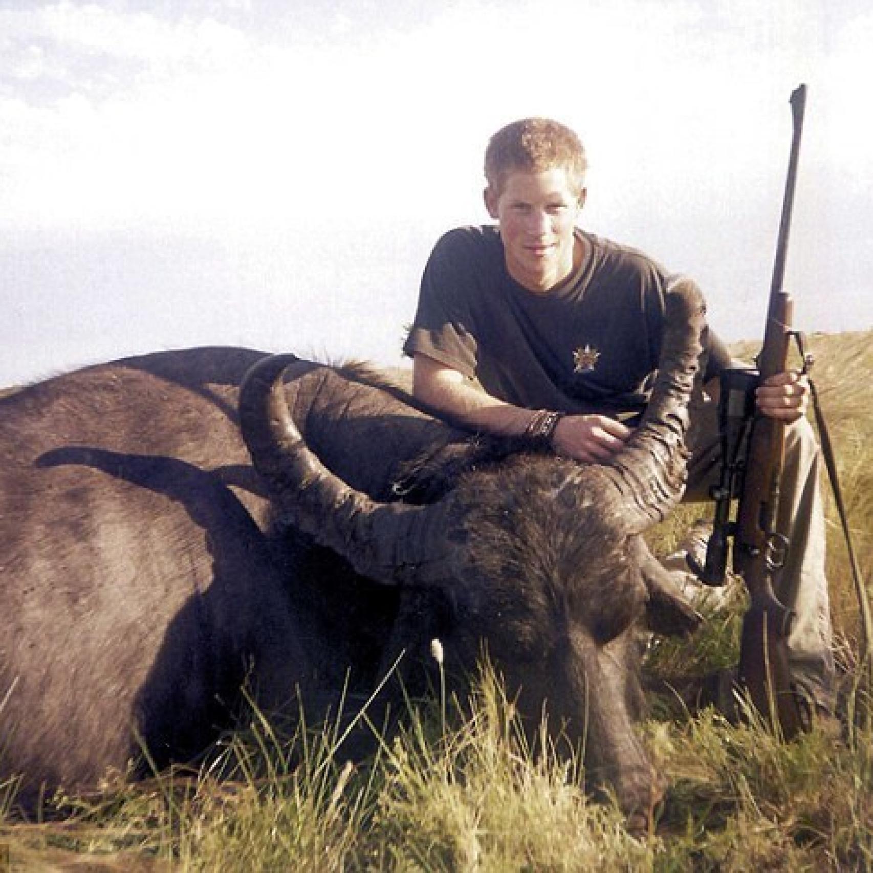 El príncipe Harry posa con una pieza de búfalo americano muerto