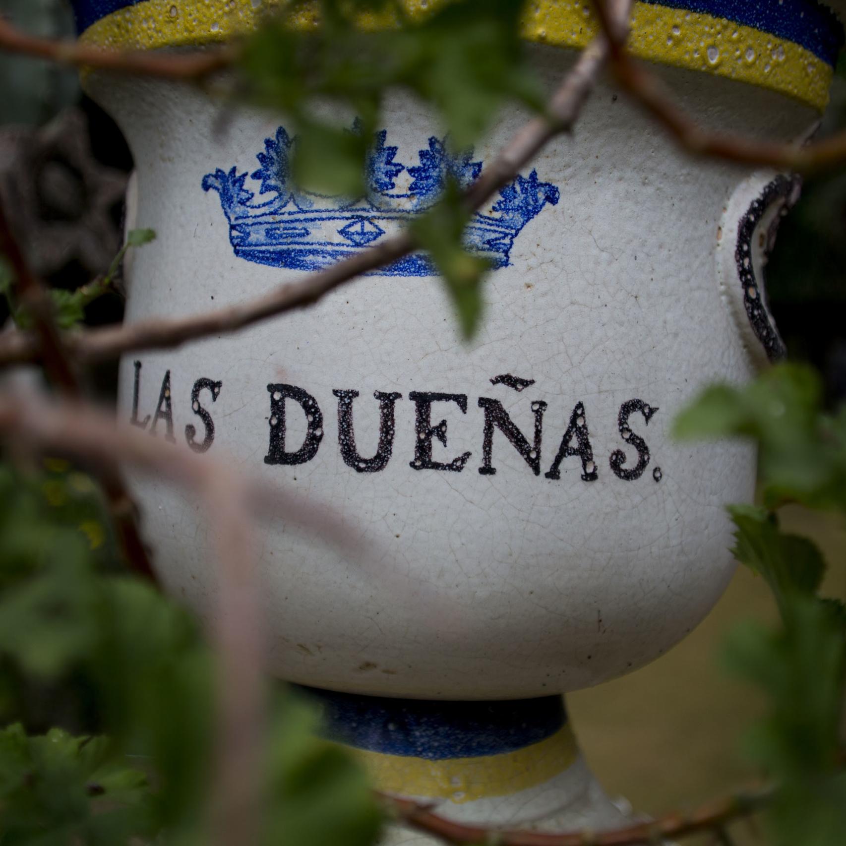 Palacio de Dueñas -FR- 01