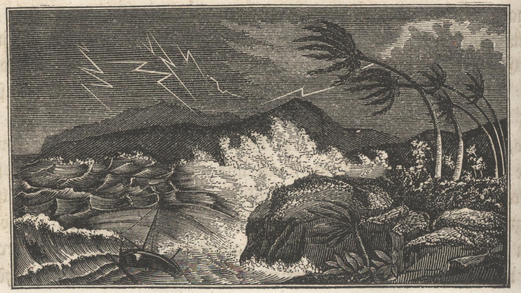El cuadro Naturwunder Im Reiche der Luft, de W.F.M. Zimmerman.